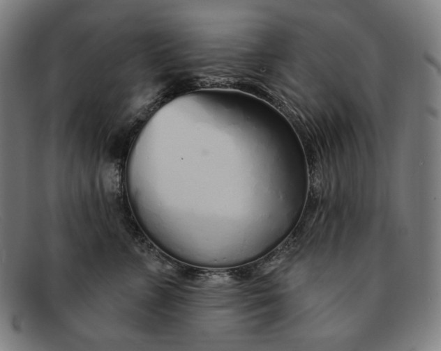 X0000091310715200708311356