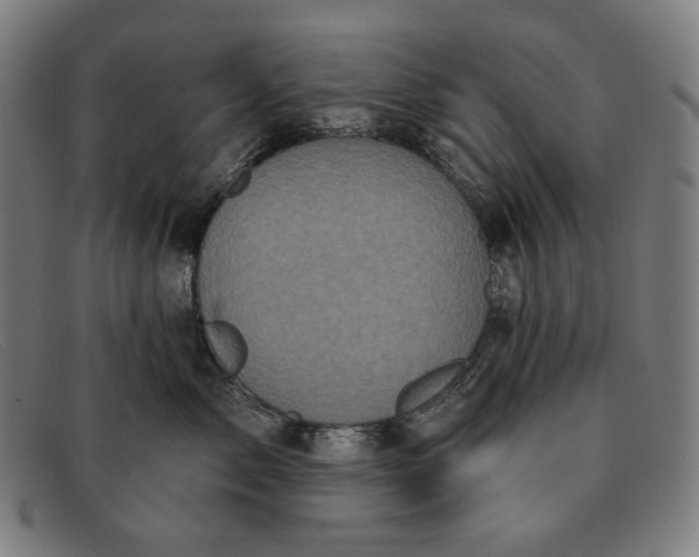 X0000091310717200708311356