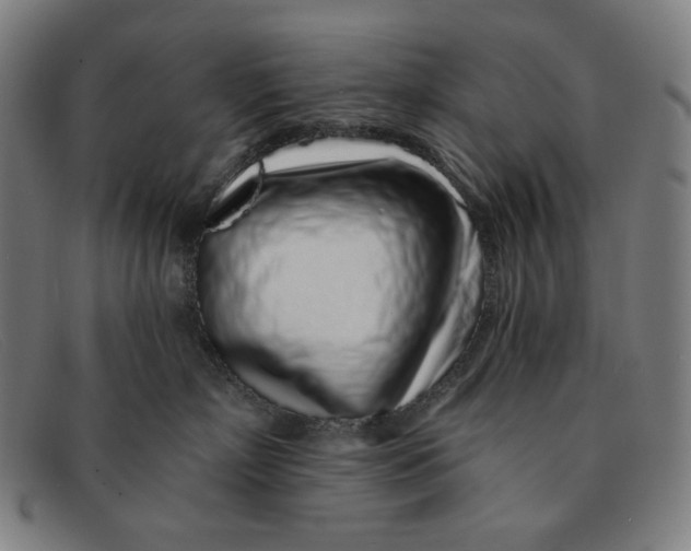 X0000091310718200708311356