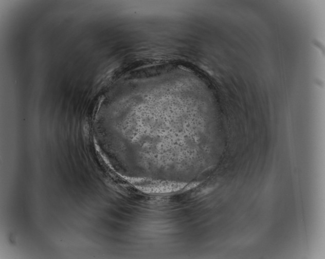 X0000091310720200708311356