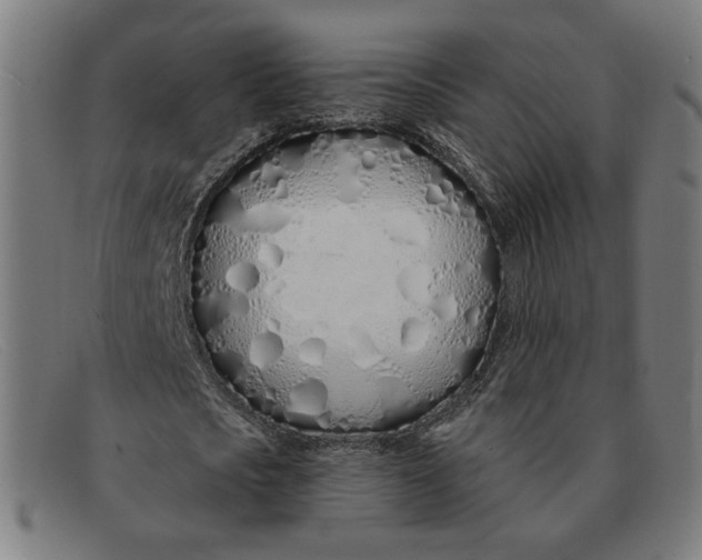 X0000091310721200708311356