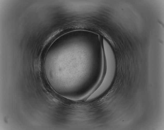 X0000091310722200708311356