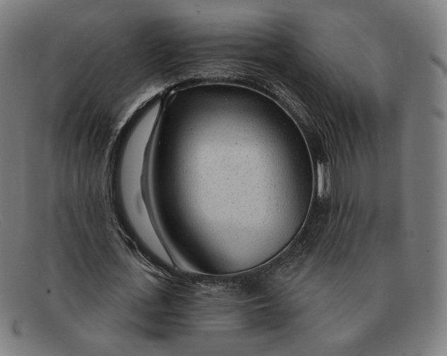 X0000091310723200708311356