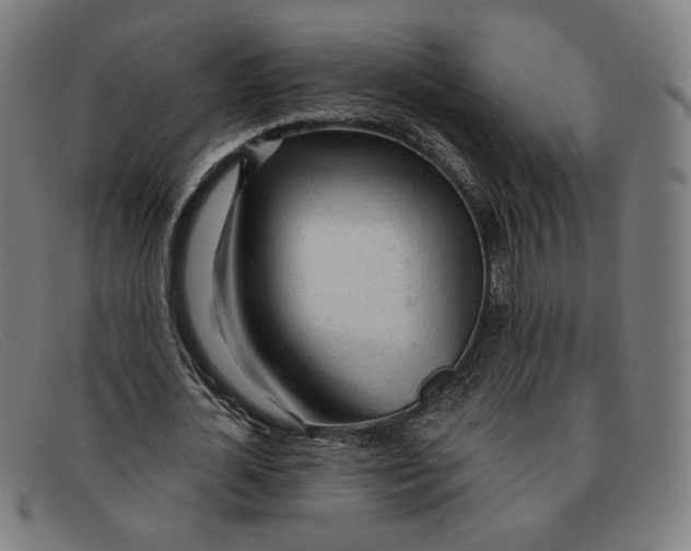 X0000091310724200708311356