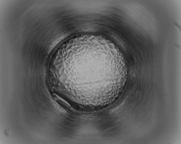 X0000091310725200708311356