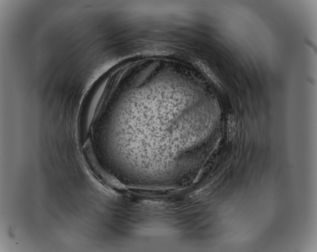 X0000091310726200708311356