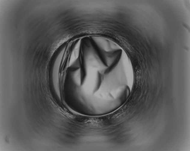 X0000091310727200708311356