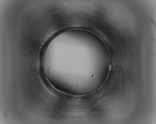 X0000091310728200708311356