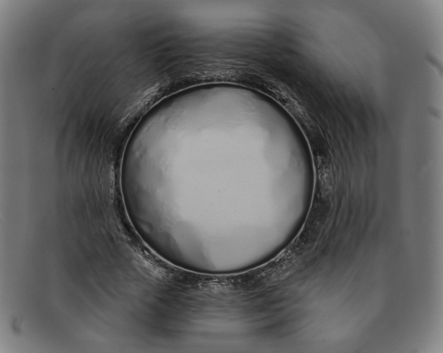 X0000091310729200708311356