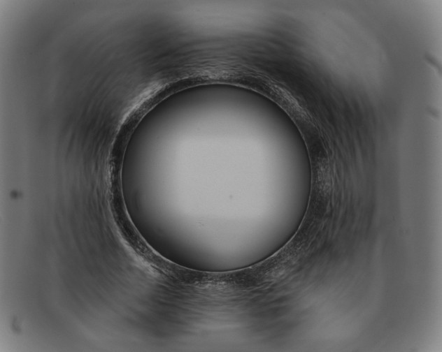 X0000091310730200708311356