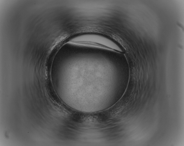 X0000091310731200708311356