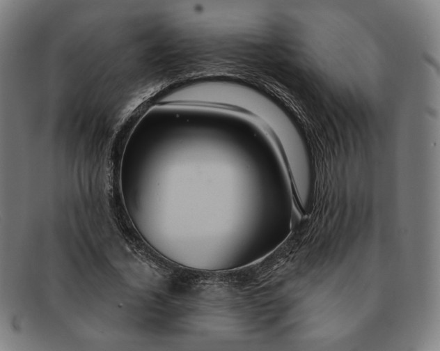 X0000091310732200708311356