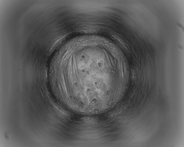 X0000091310733200708311356