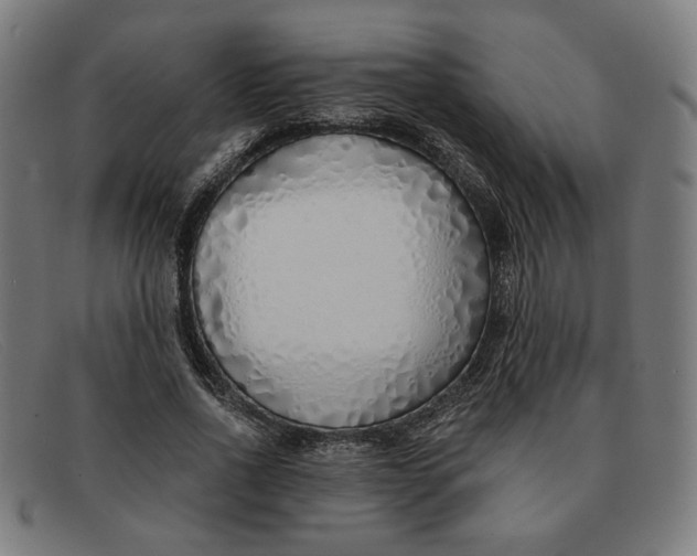 X0000091310734200708311356