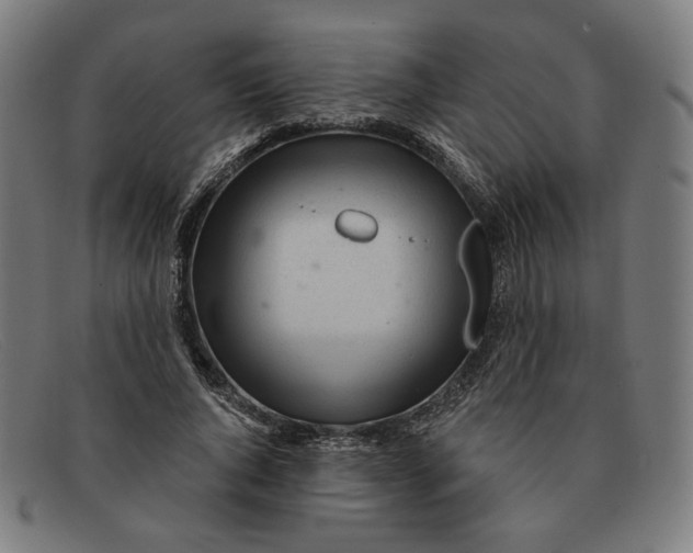 X0000091310736200708311356