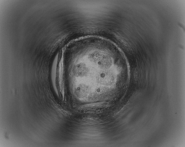 X0000091310737200708311356