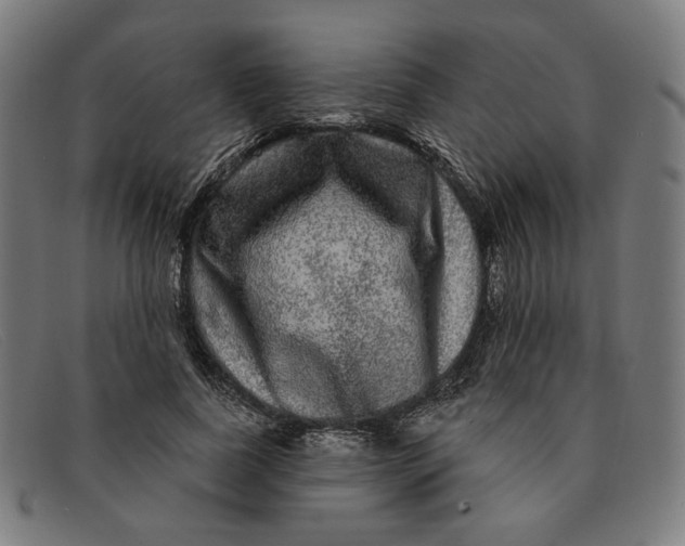 X0000091310739200708311356