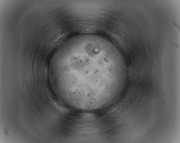 X0000091310741200708311356