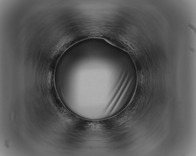 X0000091310742200708311356