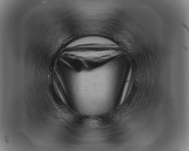 X0000091310743200708311356