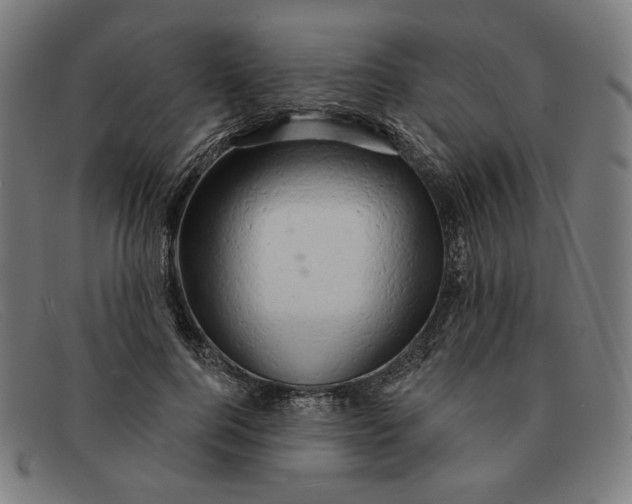 X0000091310744200708311356