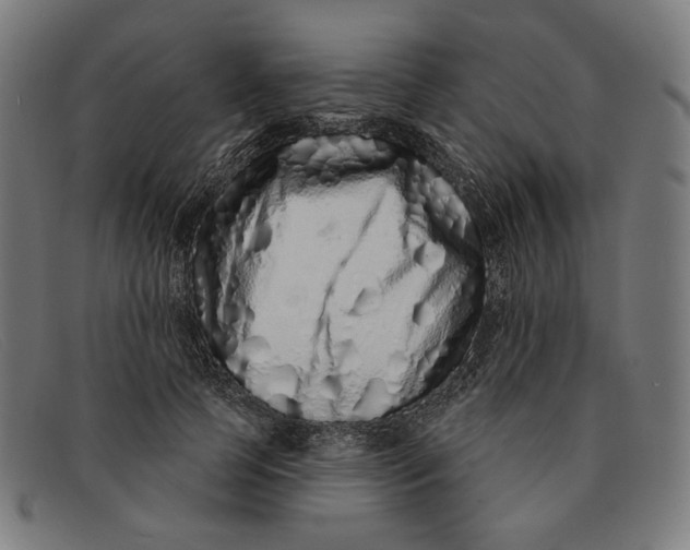 X0000091310745200708311356