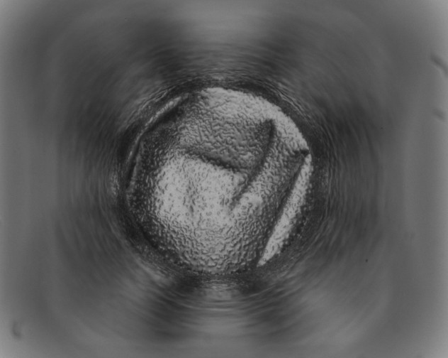 X0000091310746200708311356