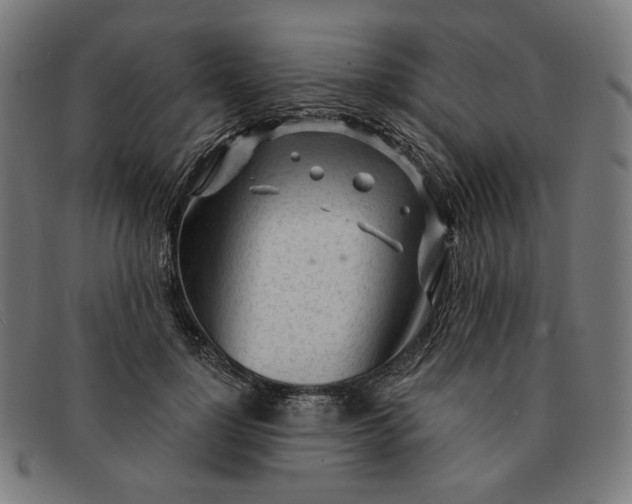 X0000091310748200708311356