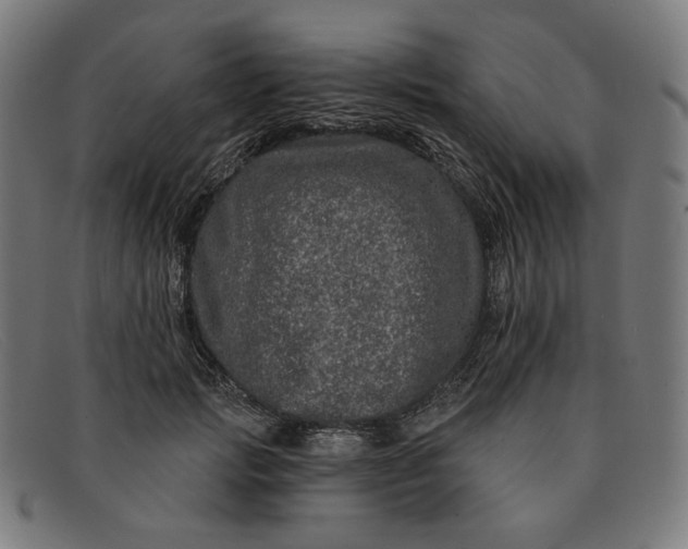 X0000091310749200708311356