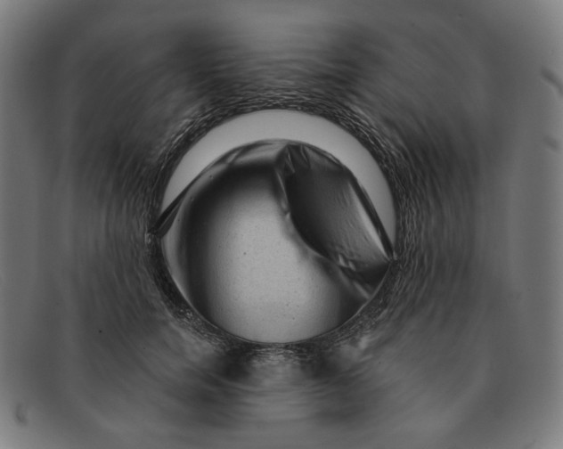 X0000091310750200708311356