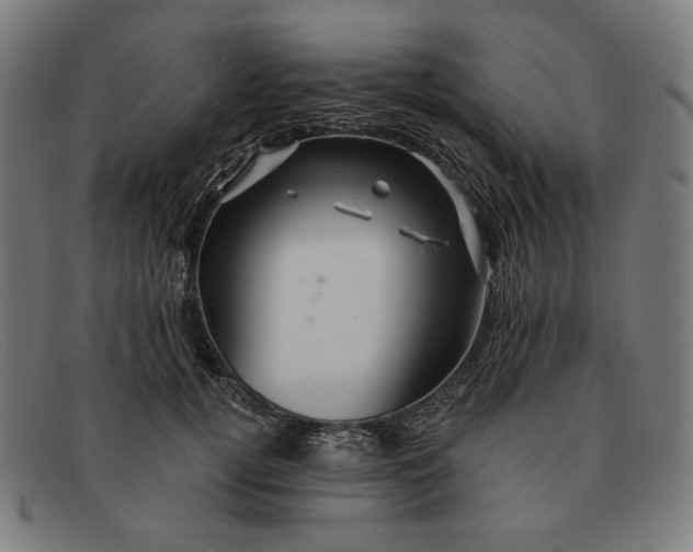 X0000091310752200708311356