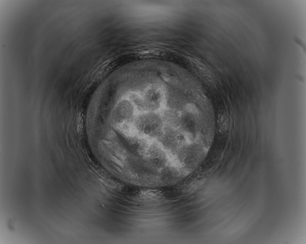 X0000091310753200708311356