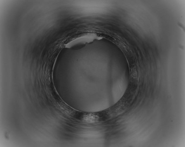 X0000091310754200708311356