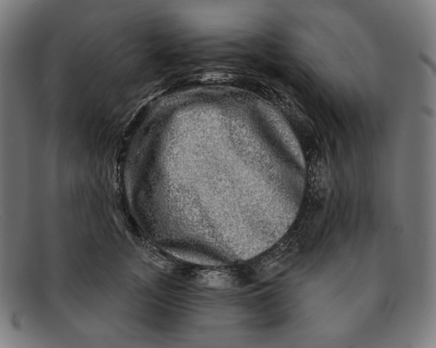 X0000091310755200708311356