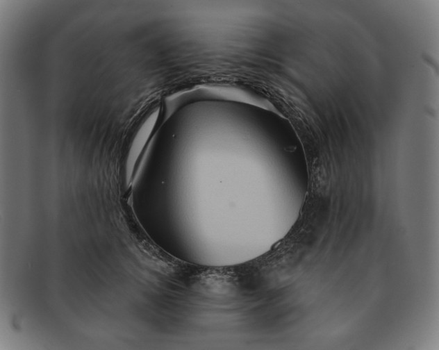 X0000091310756200708311356