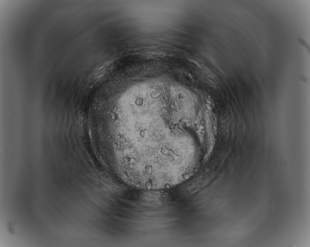 X0000091310757200708311356