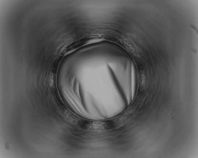 X0000091310758200708311356