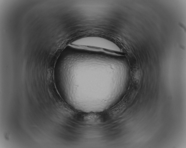 X0000091310759200708311356