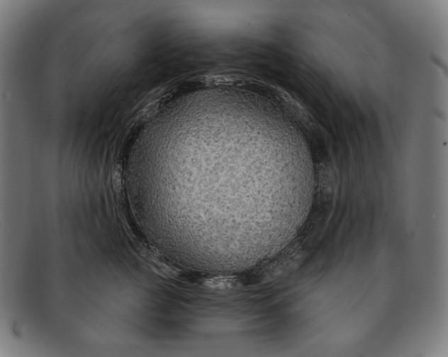 X0000091310761200708311356