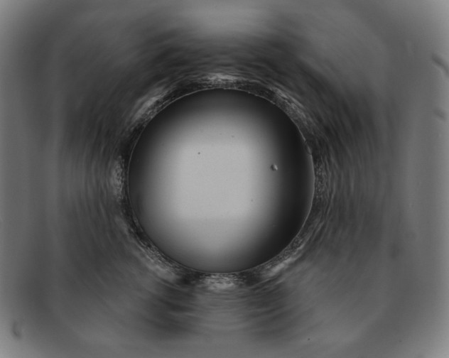 X0000091310762200708311356