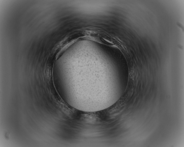 X0000091310763200708311356