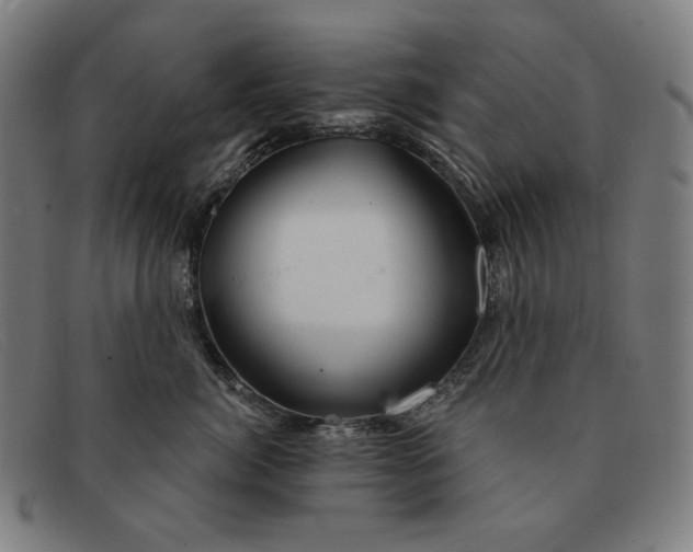 X0000091310764200708311356