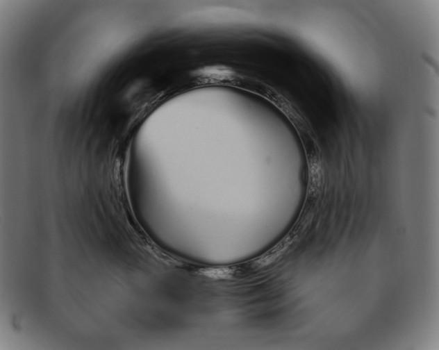 X0000091310765200708311356