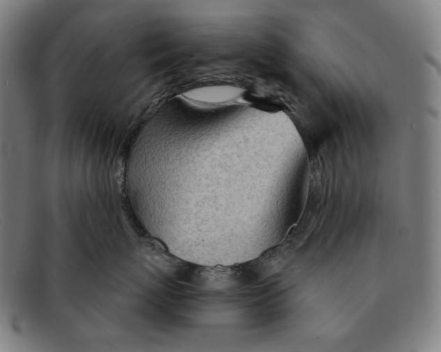 X0000091310767200708311356