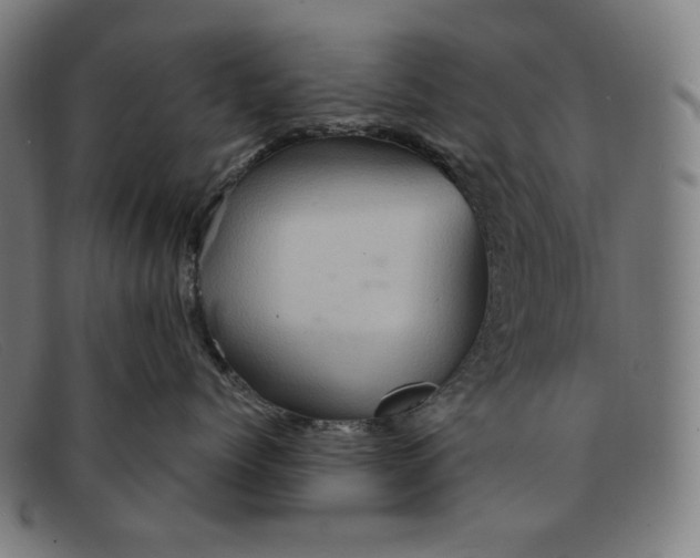 X0000091310768200708311356