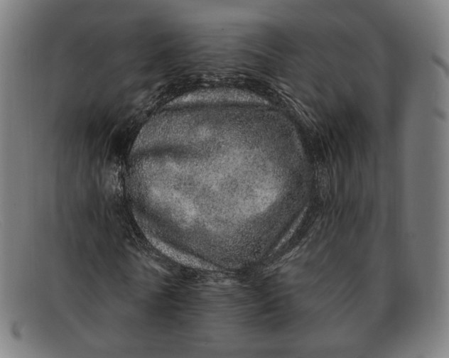 X0000091310770200708311356