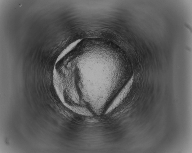 X0000091310772200708311356