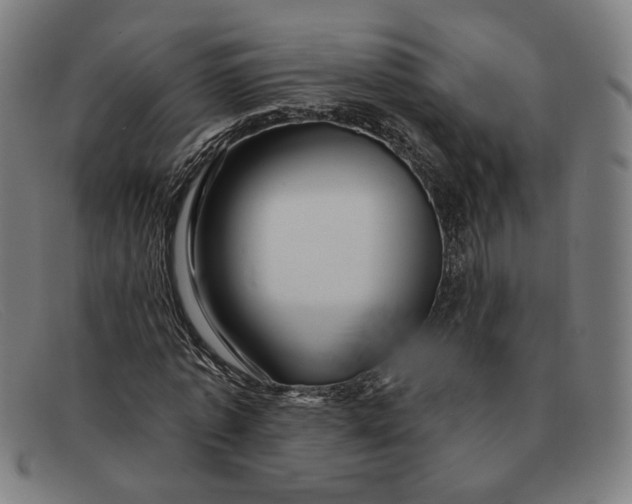 X0000091310773200708311356