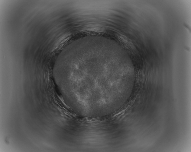 X0000091310774200708311356