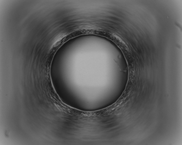 X0000091310775200708311356